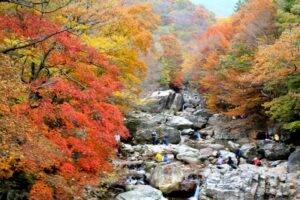 Vườn quốc gia Seoraksan nổi tiếng là điểm dừng chân đẹp quên lối về, được UNESCO công nhận là vùng bảo tồn sinh thái.
