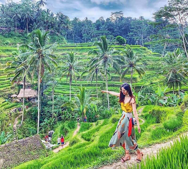 Ruộng bậc thang Tegalalang với những cánh đồng xanh ngát trải dài vô tận