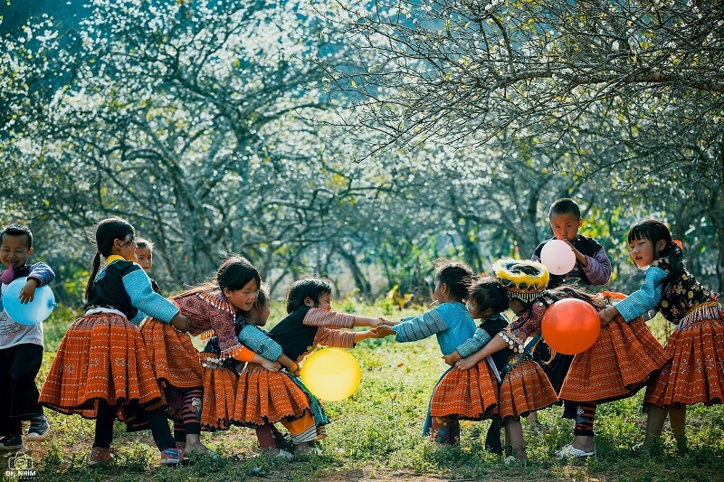 Những vườn mận ở Phiêng Cành là nơi vui chơi của các em nhỏ 