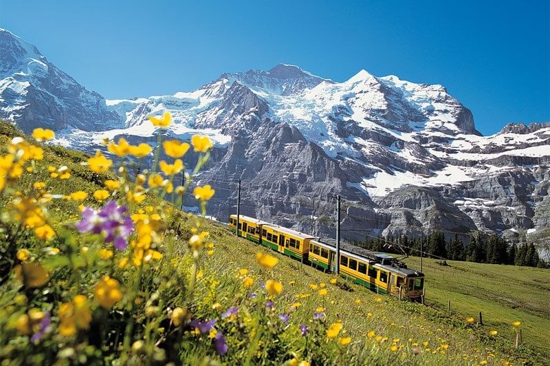 Đoàn tàu đi qua ngọn núi phủ đầy tuyết và hoa đan xen tại Thụy Sĩ