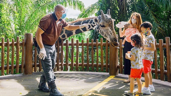 Sở thú Singapore là điểm đến được du khách yêu thích