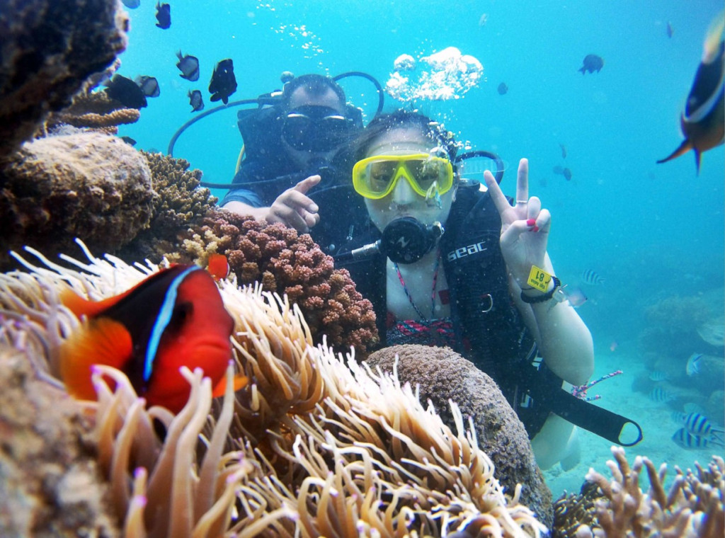 Lặn biển ngắm san hô là hoạt động trải nghiệm được nhiều đơn vị bán tour cung cấp