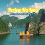 review Hạ Long