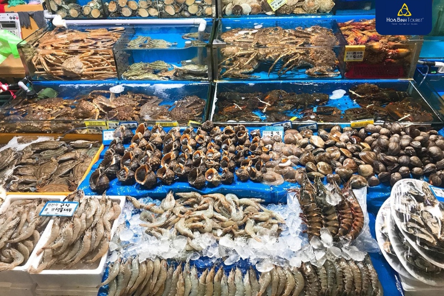 Chợ hải sản Hạ Long bày bán đa dạng các loại hải sản vào những buổi sáng sớm