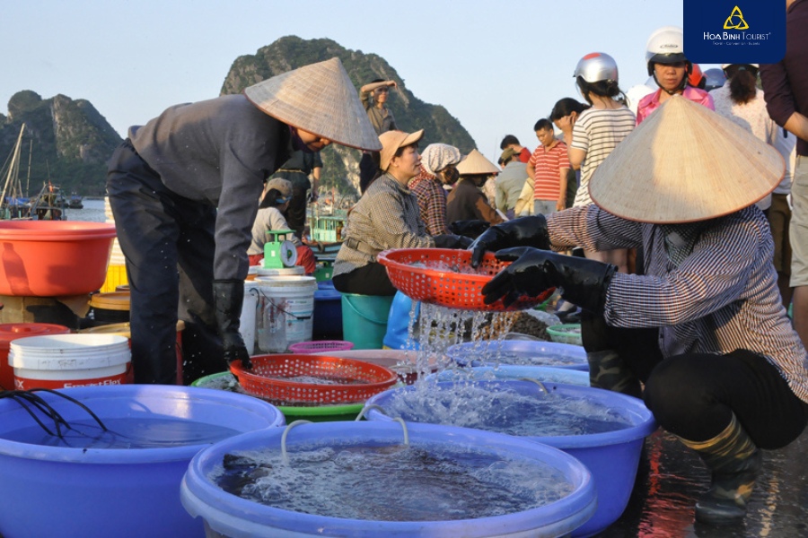 Chợ cá Hạ Long đa dạng các loại hải sản