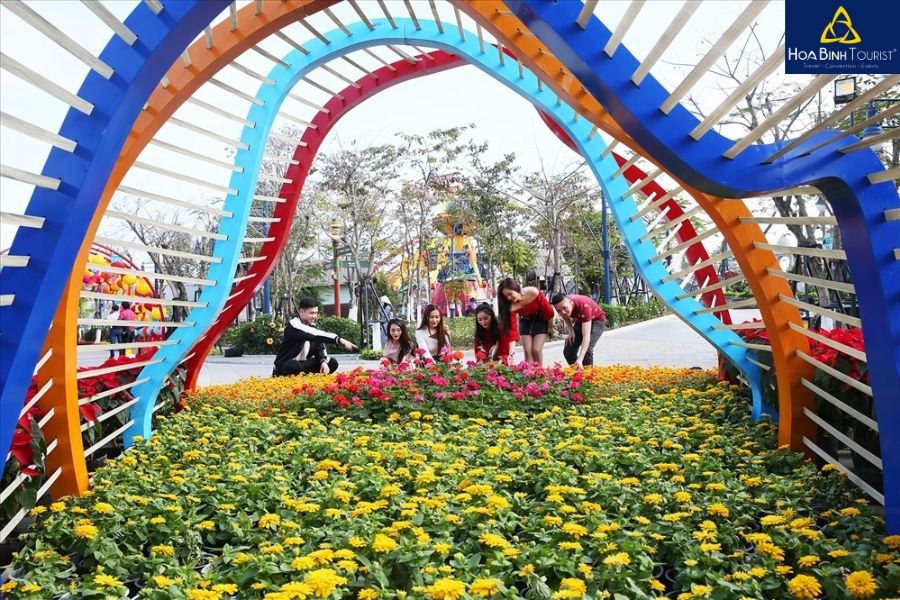 Chợ hoa Hạ Long - Thiên đường hoa rực rỡ giữa lòng thành phố