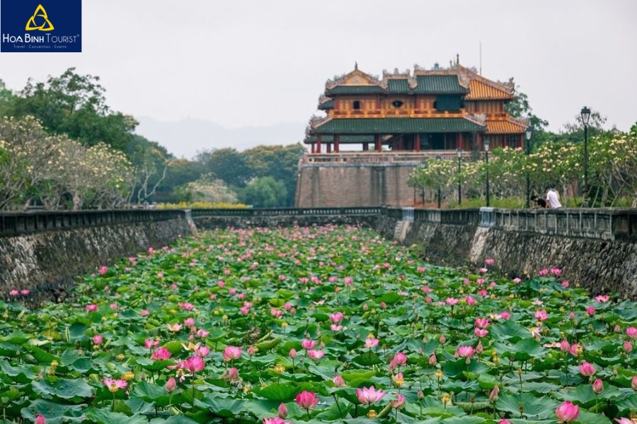 Mãn nhãn với đầm hoa sen nở rộ tại hồ Tịnh Tâm từ tháng 5 đến tháng 7