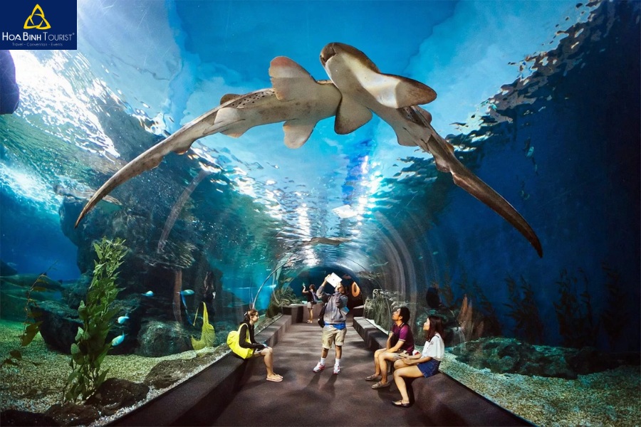 Thủy cung Underwater World giúp du khách khám phá đại dương kỳ thú ngay giữa thành phố Pattaya náo nhiệt 