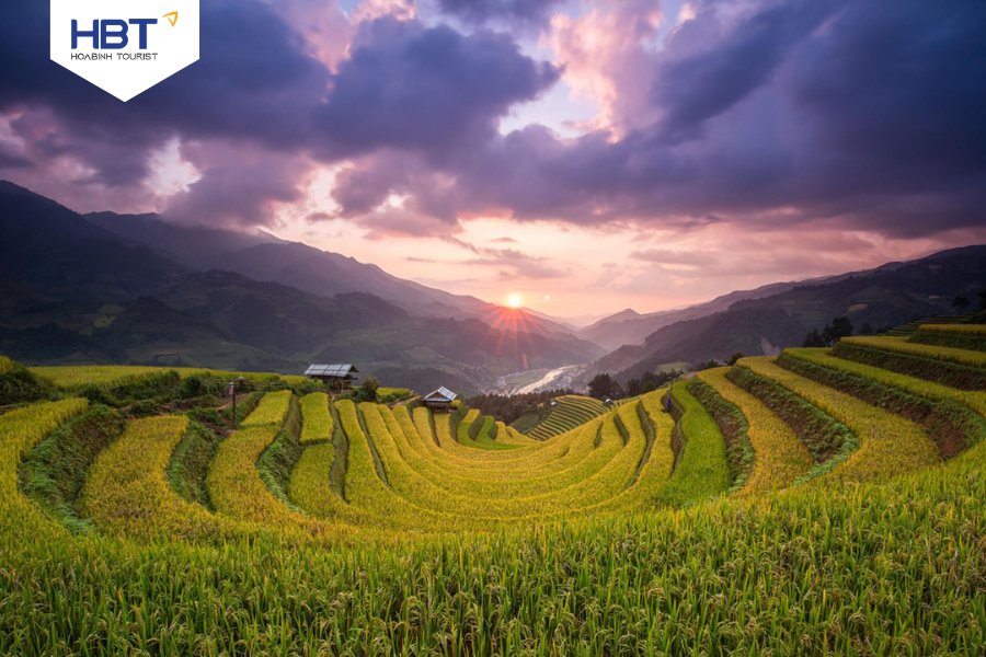 The famous ripe rice season in Mu Cang Chai in Yen Bai