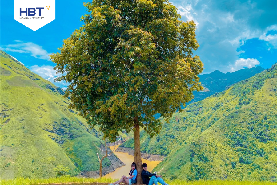 Lonely tree on the Wind Peak