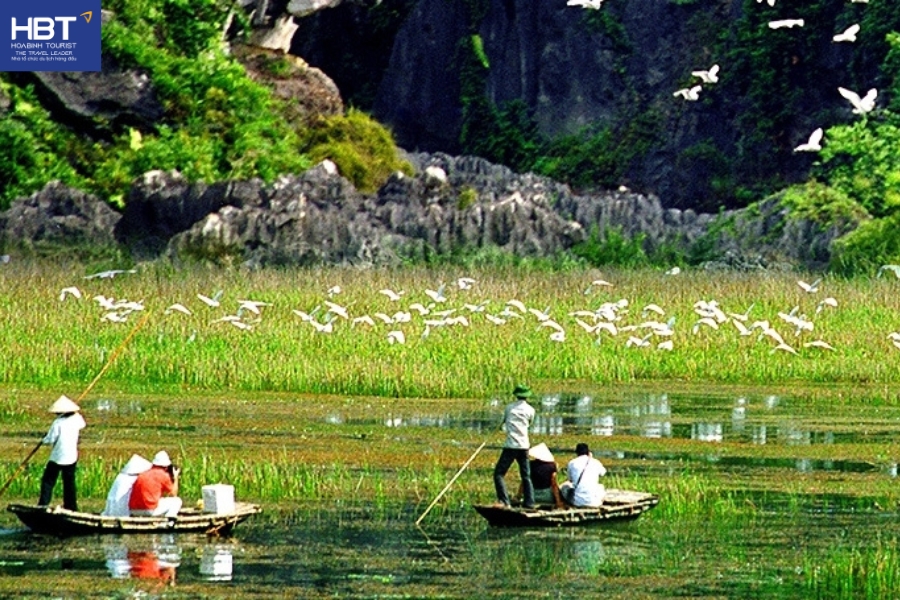 Trải nghiệm khám phá vườn quốc gia Tràm Chim trên thuyền