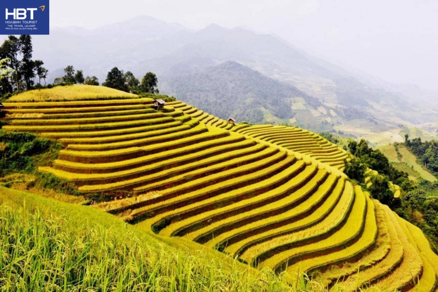 Vẻ đẹp nên thơ của Hoàng Su Phì mùa lúa chín 