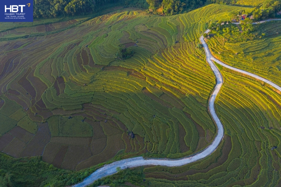 Mùa lúa chín tại Pù Luông Thanh Hoá