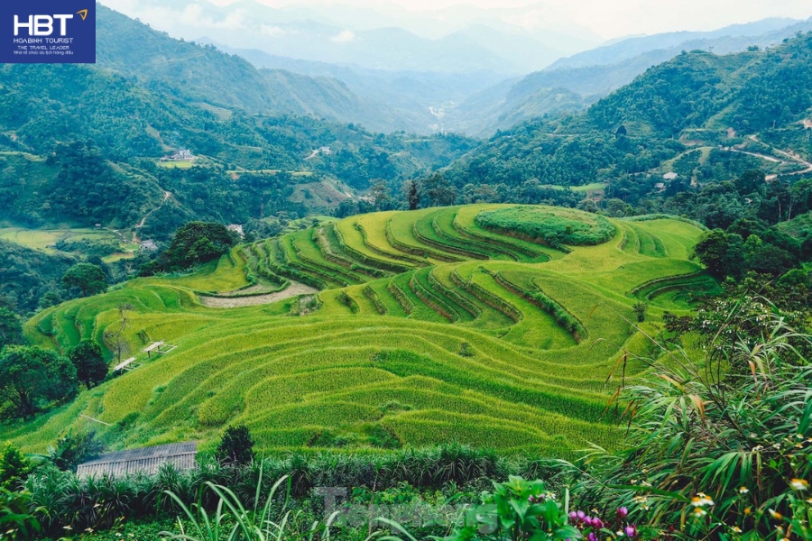 Di sản ruộng bậc thang Hoàng Su Phì - Hà Giang