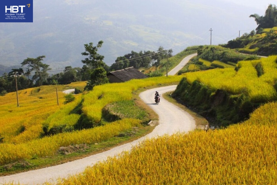 Tour Hoàng Su Phì 3 ngày 2 đêm chiêm ngưỡng vẻ đẹp mùa lúa chín