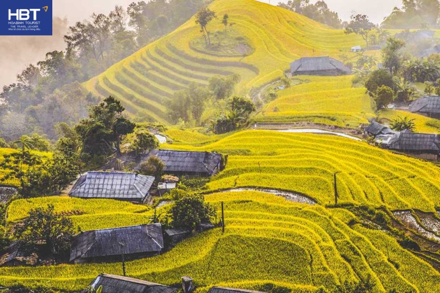 Ruộng bậc thang Thông Nguyên  - nơi đẹp nhất Hoàng Su Phì