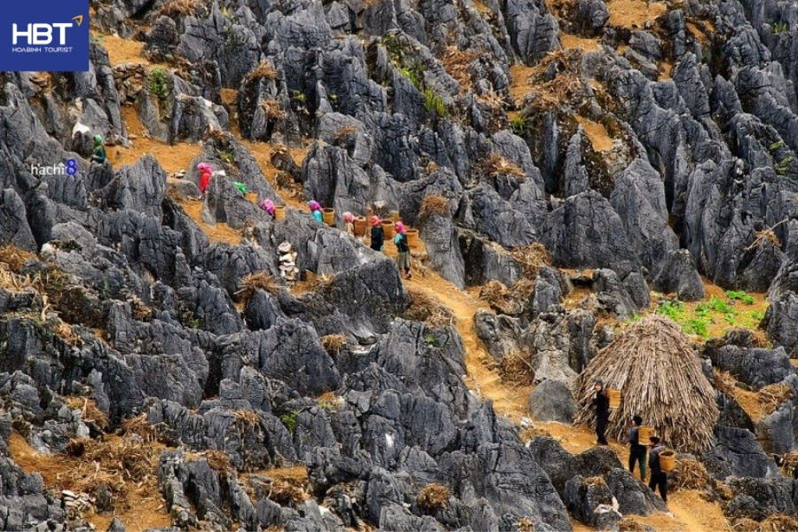 Cao nguyên đá Đồng Văn