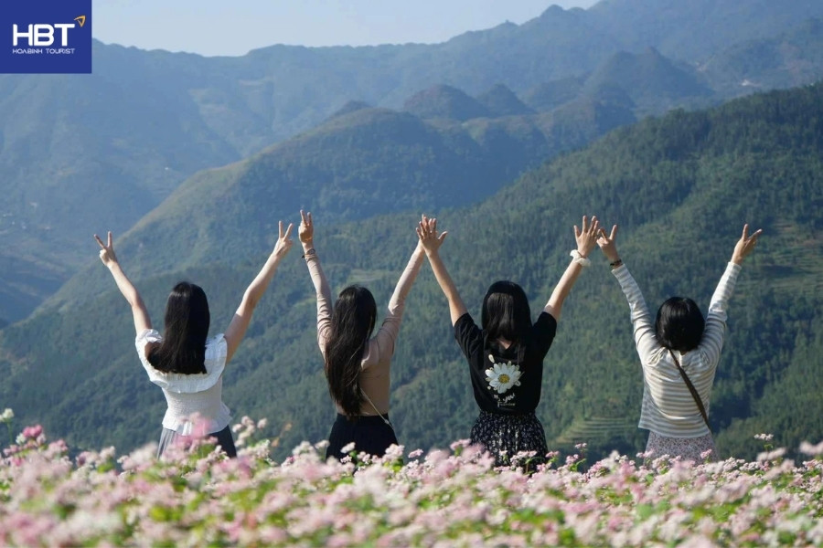 Mùa hoa tam giác mạch tại Xín Mần