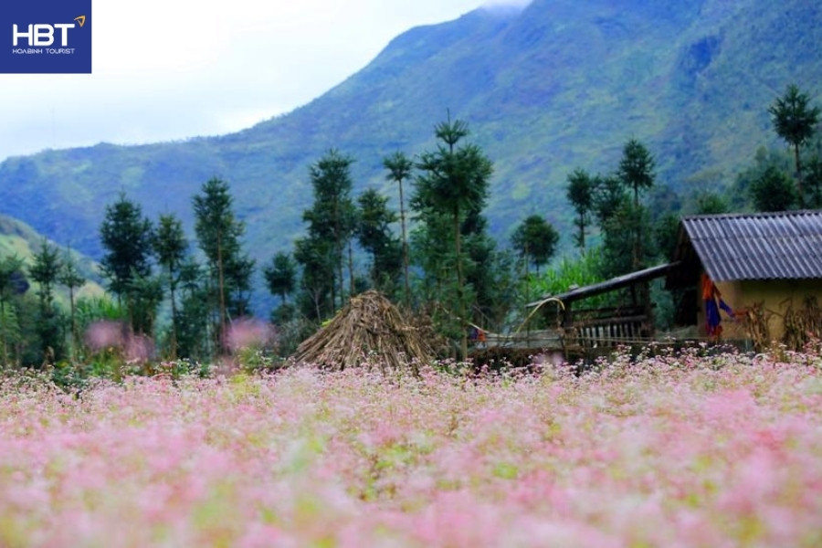 Thị trấn cổ Phó Bảng