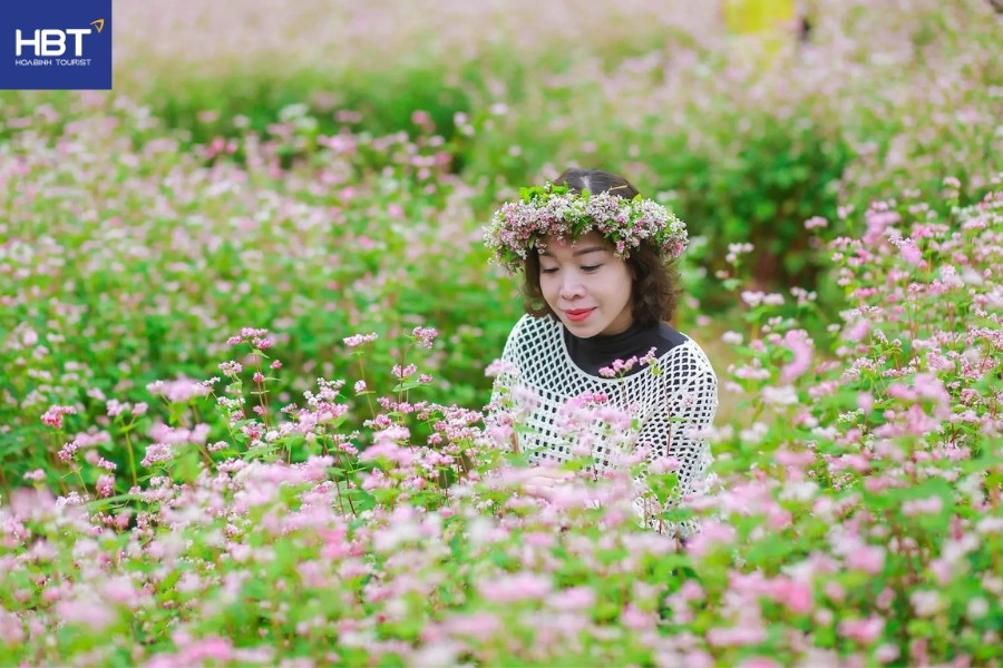 Bản cổ Lao Xa mùa Hoa tam giác mạch Hà Giang