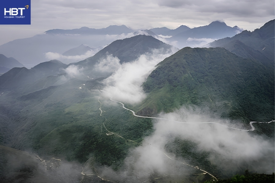 view từ cây cô đơn sapa