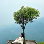 cây cô đơn sapa