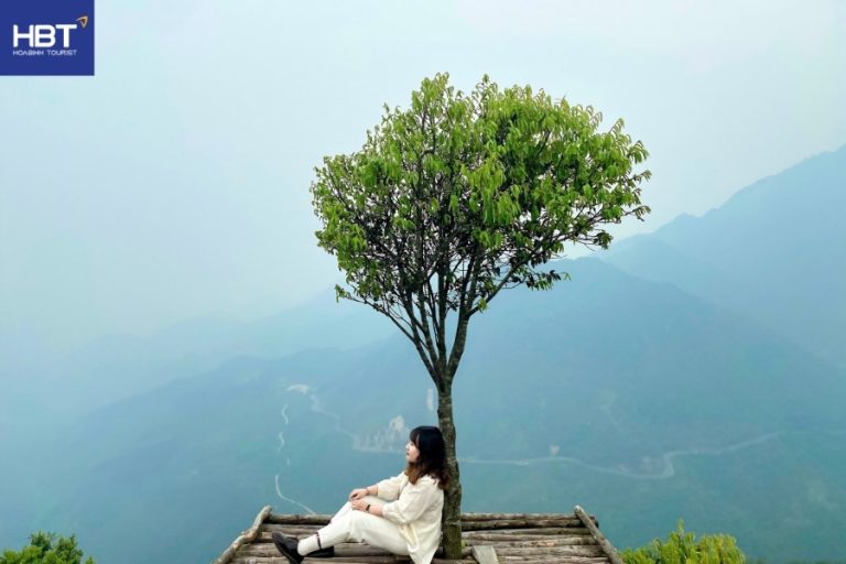 Kinh nghiệm check in cây cô đơn Sapa giữa biển mây trời