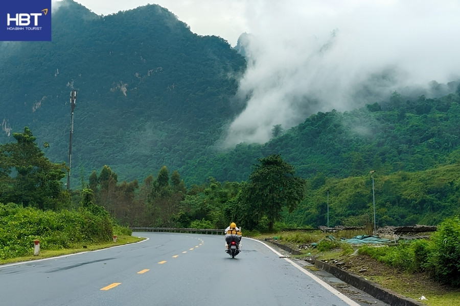 đường đi cây cô đơn sapa