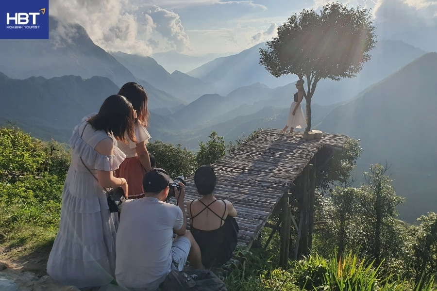 cây cô đơn sapa