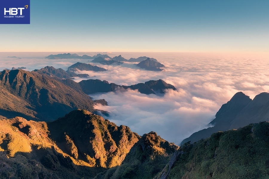view từ cây cô đơn sapa