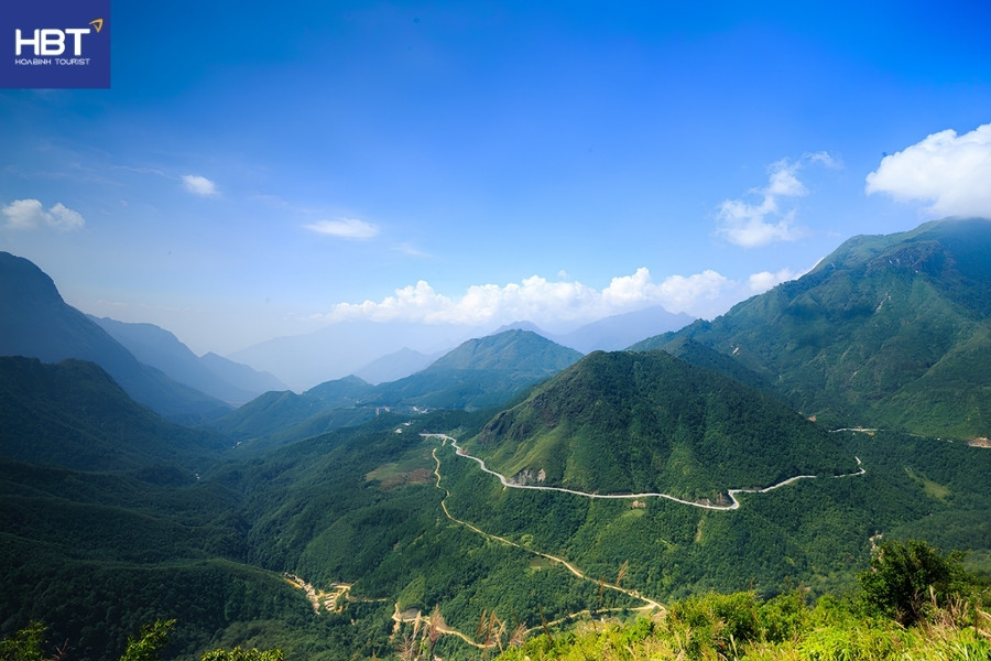 view từ cây cô đơn sapa