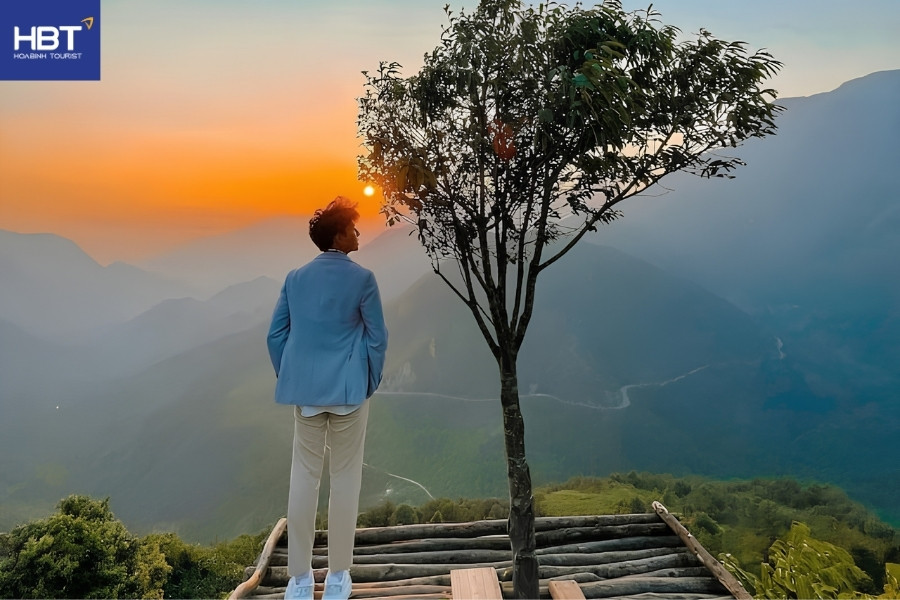 cây cô đơn sapa
