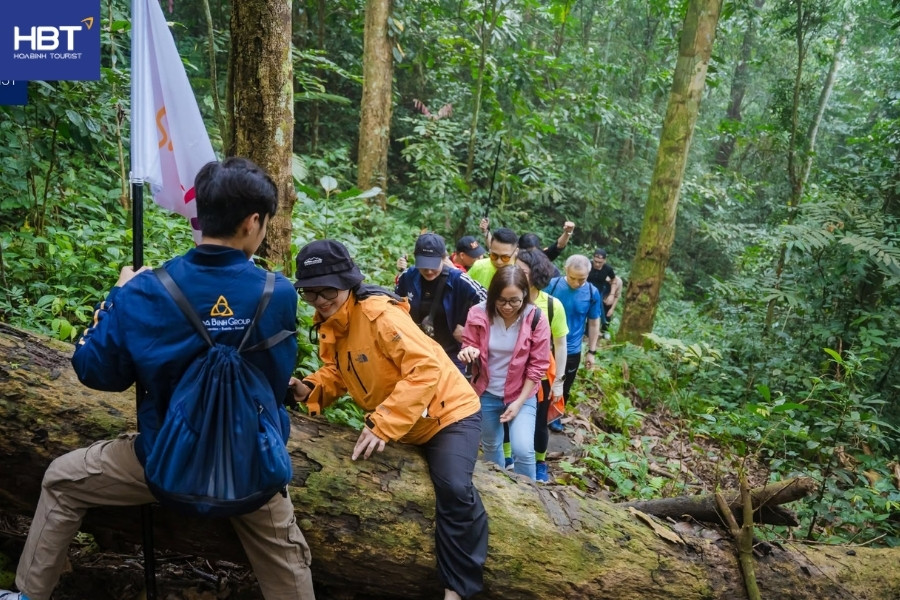 Company Trip là gì? Cách tổ chức tour du lịch công ty A-Z