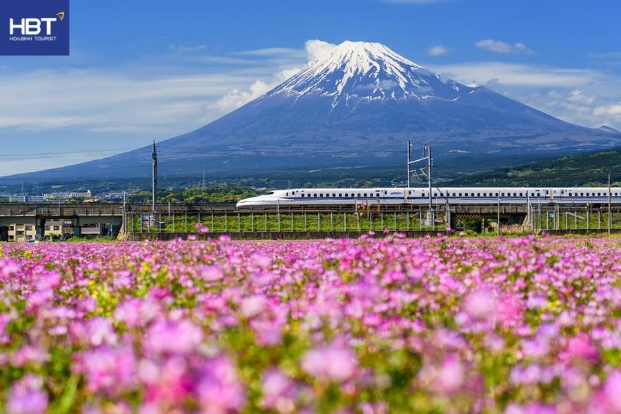 Kinh nghiệm đi tàu Shinkansen - Tokaido Shinkansen