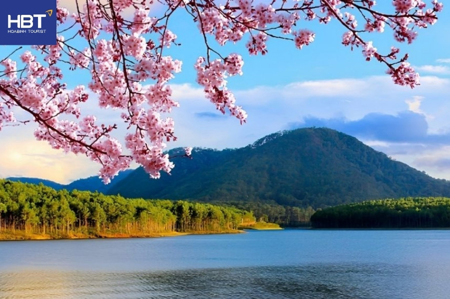 thiền viện trúc lâm đà lạt