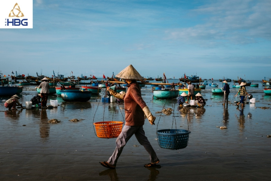 best places to visit in vietnam