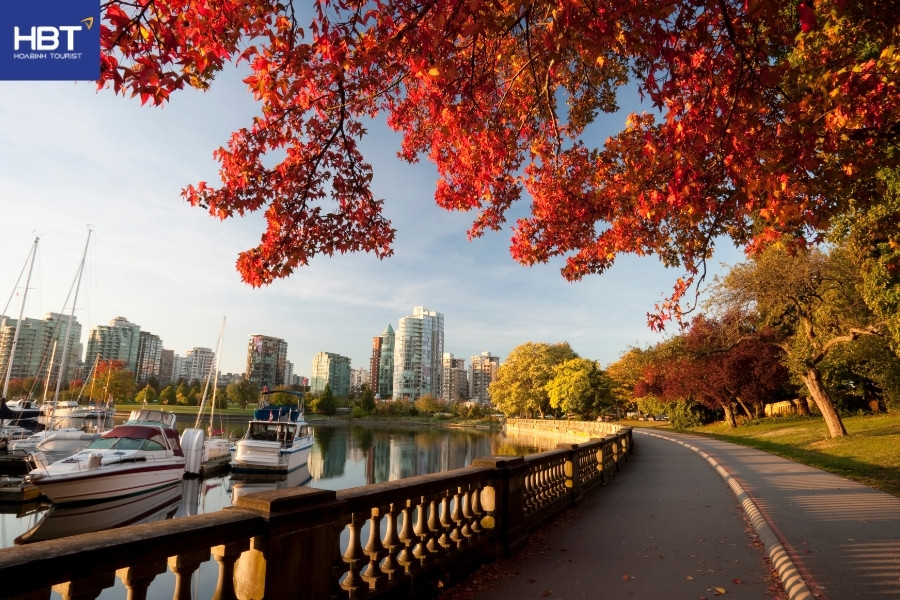Cảnh mùa thu - Canada - những cánh rừng nhuộm sắc thu