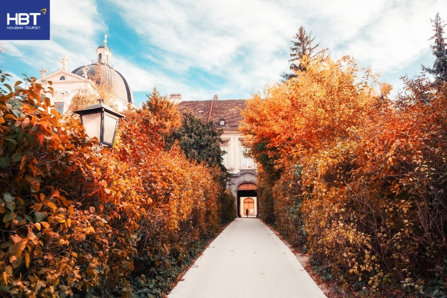Cảnh mùa thu - Áo - Vienna cổ kính và thơ mộng