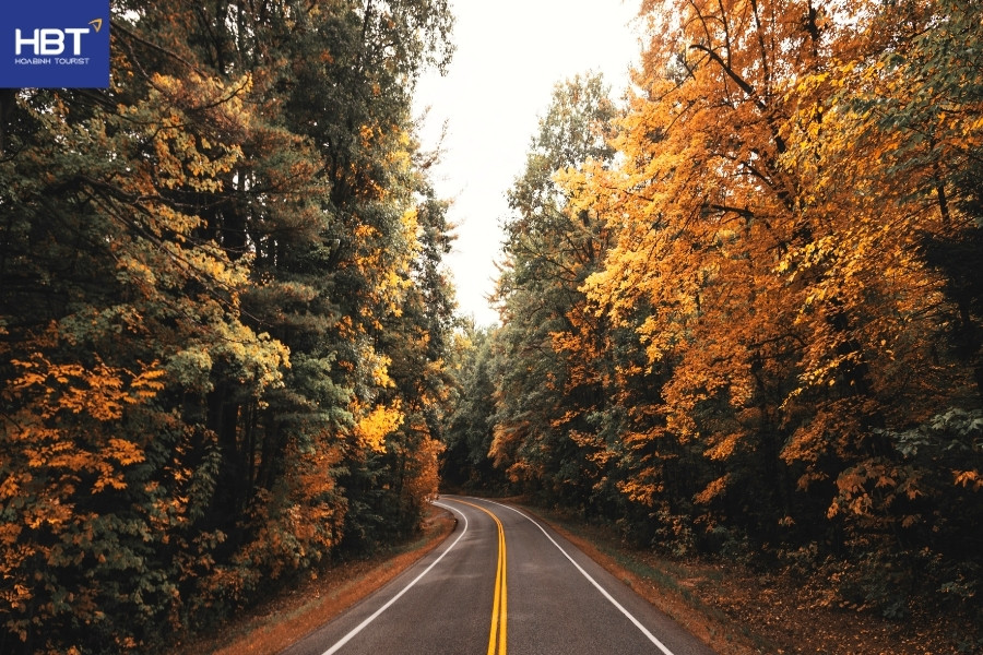 Cảnh mùa thu - Mỹ - New England rực rỡ mùa lá đổi màu