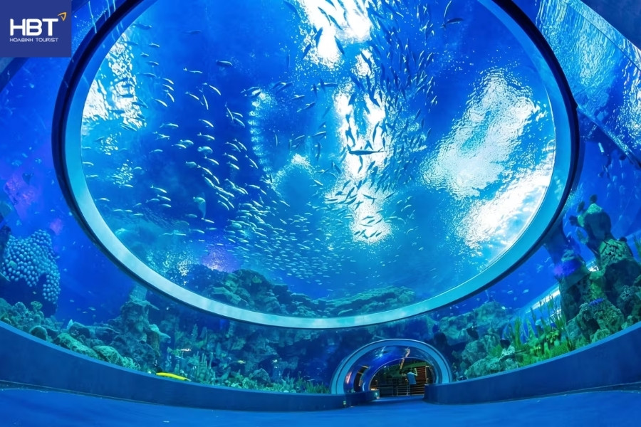Chu Hải Trung Quốc - Chimelong Ocean Kingdom