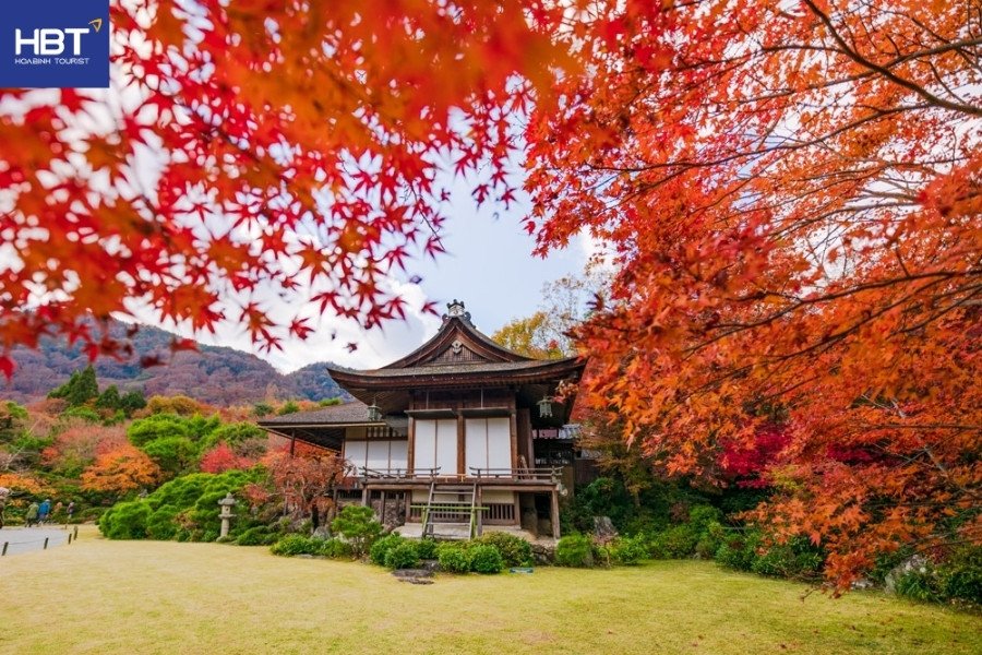 Kyoto – vẻ đẹp cổ kính giữa sắc thu
