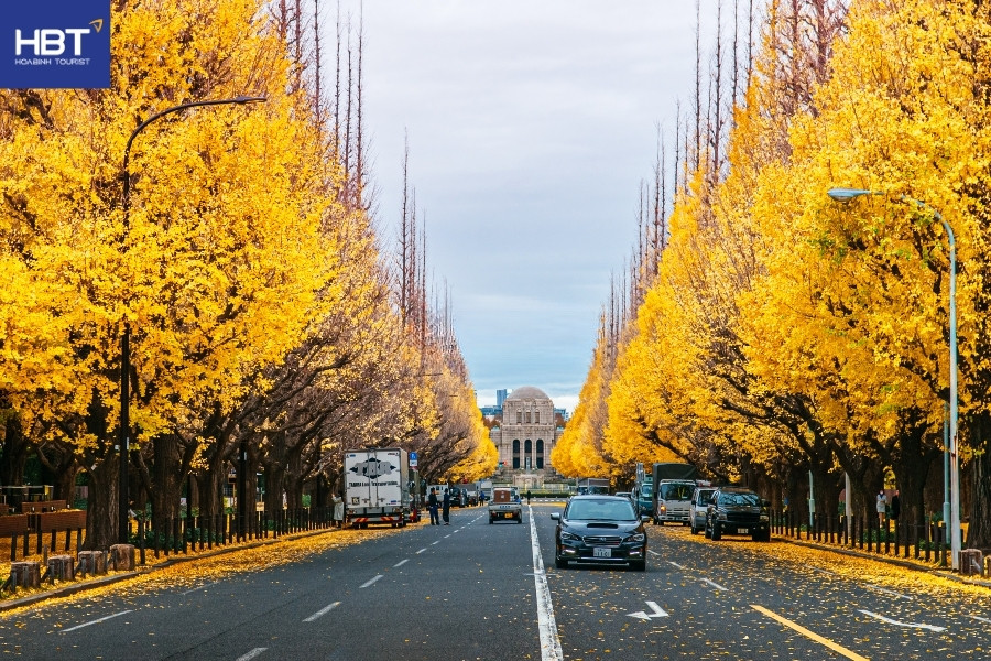 Tokyo – mùa thu giữa đô thị hiện đại