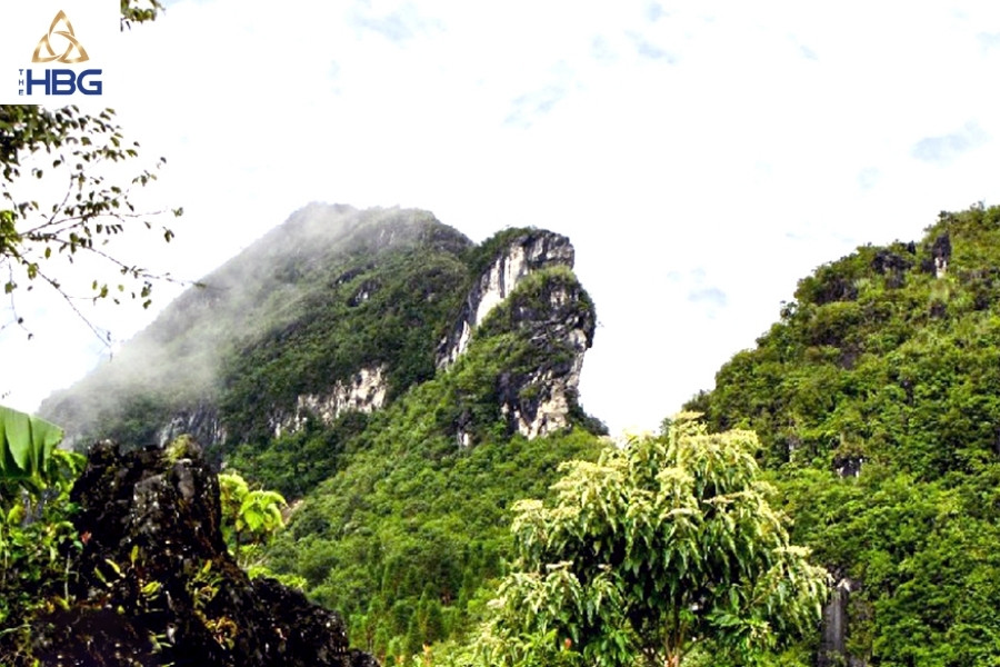 Núi Hàm Rồng Sapa