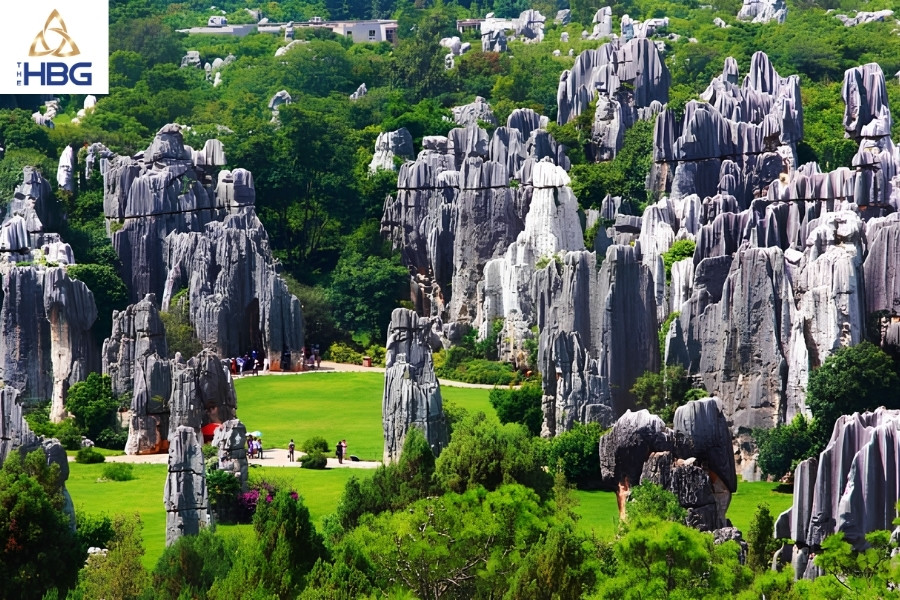 Núi Hàm Rồng Sapa