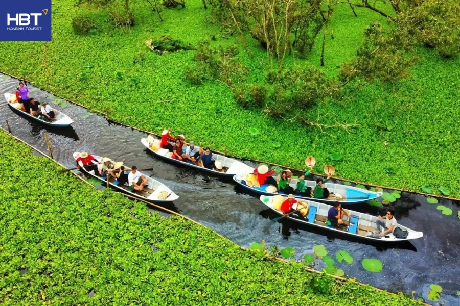 Rừng tràm Trà Sư
