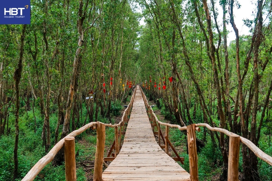 Rừng tràm Trà Sư