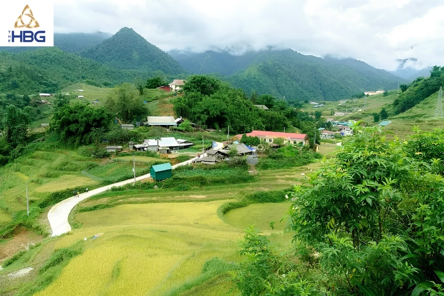 Ruộng bậc thang sapa - Bản Sín Chải