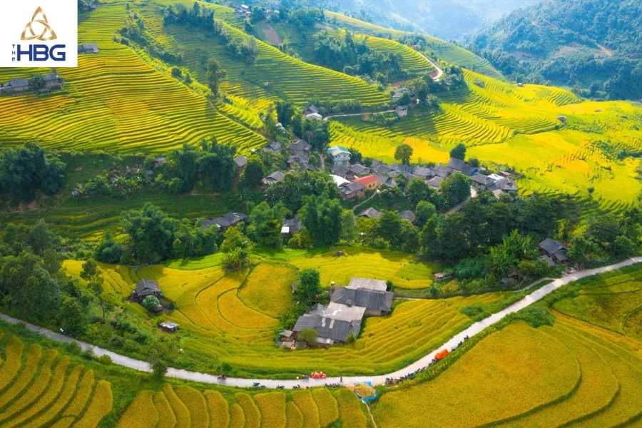 Ruộng bậc thang sapa - Đèo Ô Quy Hồ