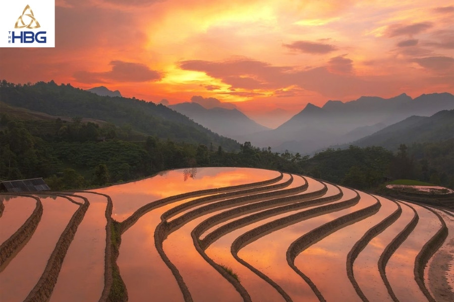 Ruộng bậc thang sapa