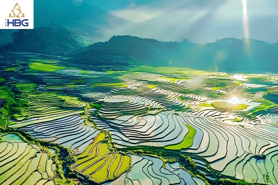 Ruộng bậc thang sapa